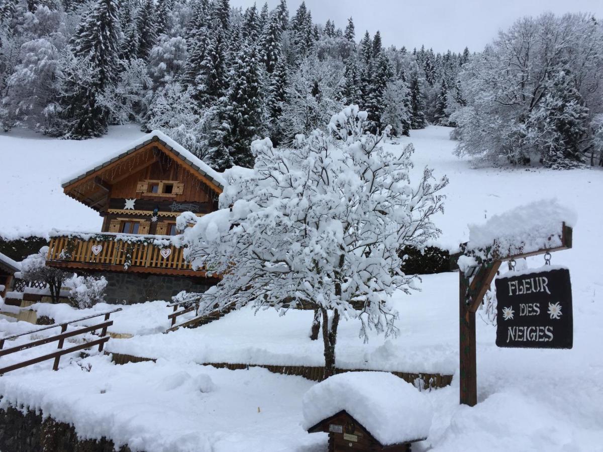 Chalet Fleur Des Neiges Сен-Жан-д'Оль Екстер'єр фото